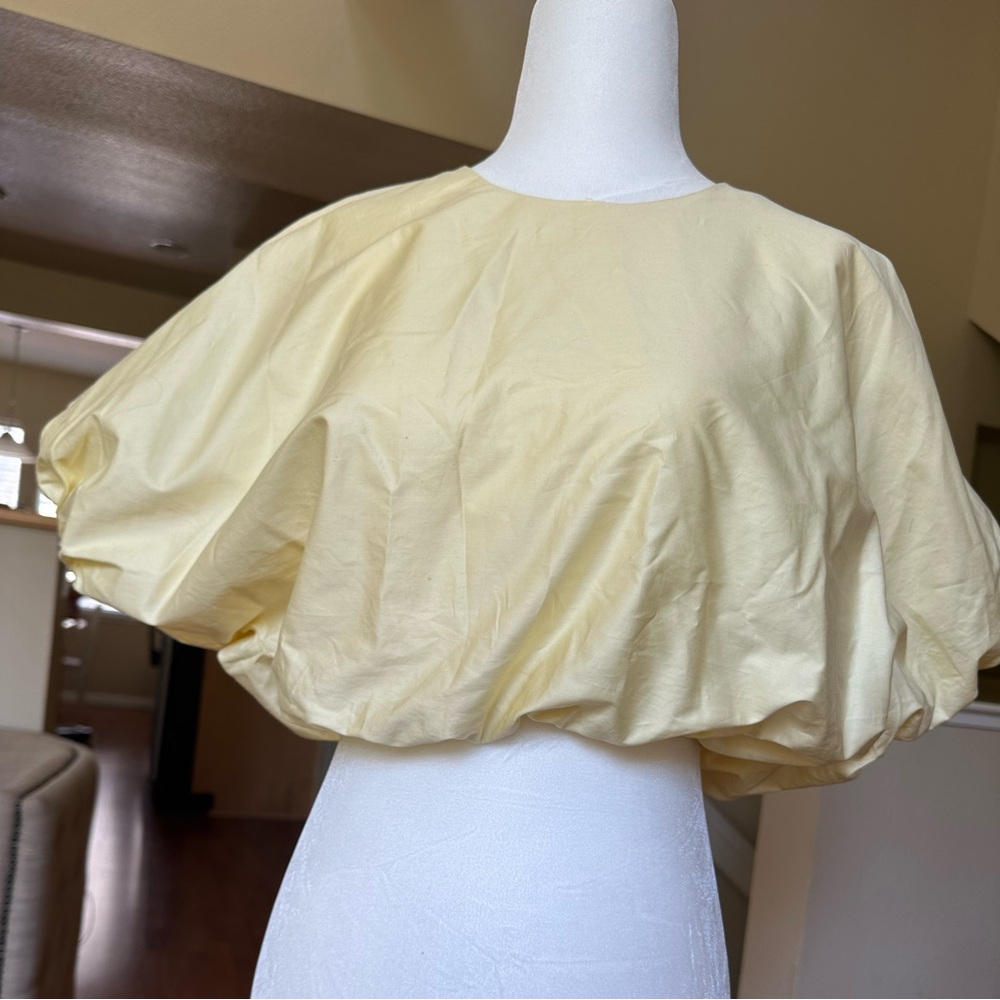 Zara cropped top